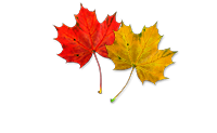 Информационно-развлекательный портал Gorod.Tomsk.Ru
