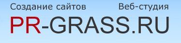 Веб студия pr-grass.ru Москва