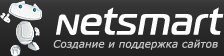 Netsmart Владивосток