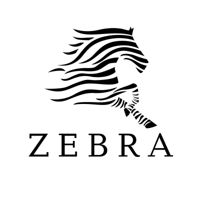 Веб студия Zebra